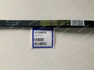 31330870 (3)