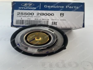 255002B000-2