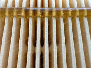 8783101cc83660d55c7f8e4363e15f4