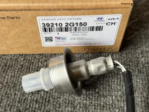 40c92058e6793c6c6b5320513ea6541