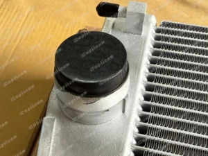 31083dacfc7f33ceb9cf19e7da8a12c