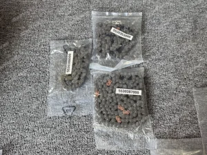 ef1303bf802dec16fbe2984ce80b248