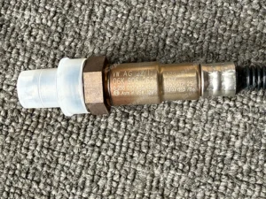 4bd6c9f8ae656cf72956e10991f726d