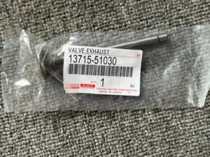 87a91d388758ff71f2de8556a34f437