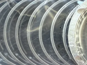 44672281022cf4d895483edc1f1f6fe