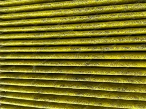 0a45e4a63f69b7652d70351fd880b12