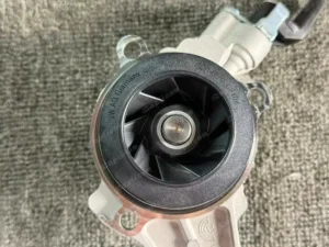 2f55b147513877233cc75d2f6abbfff