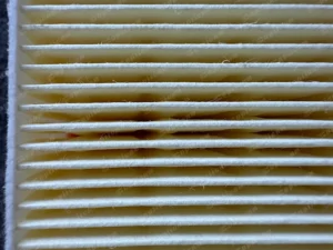 89bcfbc20381fa75b97fb5cef41d5d9