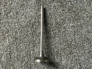 329b2a12c7ba1bcb91c696103b8d654