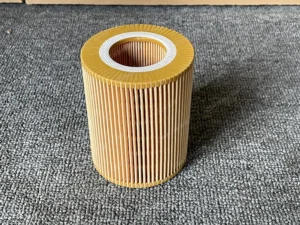 de507f29007dfe5f21e950a47e2440a