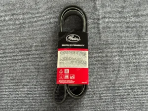 b8538d54828cda2cce0854ba2a55028