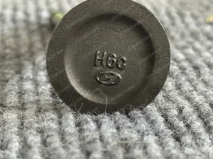 2907f61085c38e6c6675d1070202d62